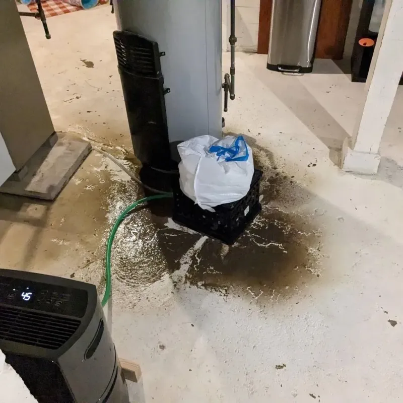 Sewage Backup Cleanup Service in Alpine, TX